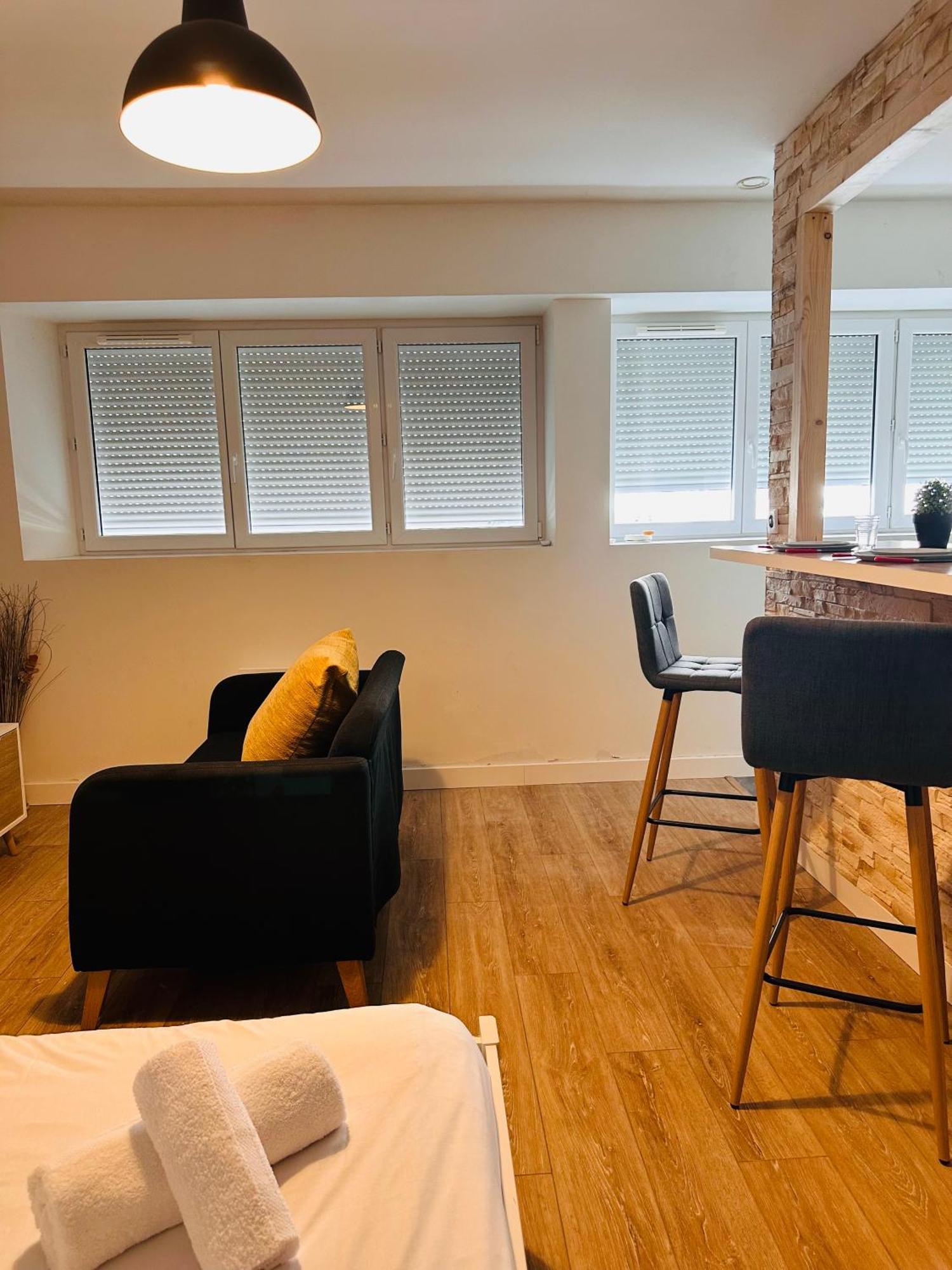 Appartement Cosy Proche De Toutes Les Commodites Orlean Zewnętrze zdjęcie